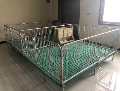 母豬定位欄的隔板和后門有什么作用？