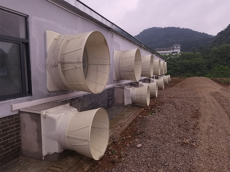 客戶案例